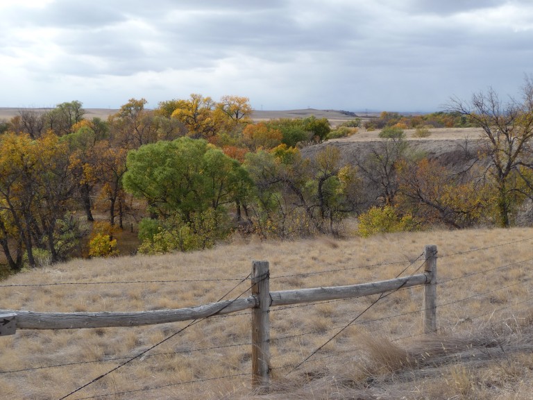 News OGLALA LAKOTA HOUSING AUTHORITY